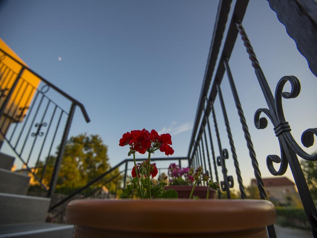 Apartments Punta Стариград-Пакленица Екстериор снимка